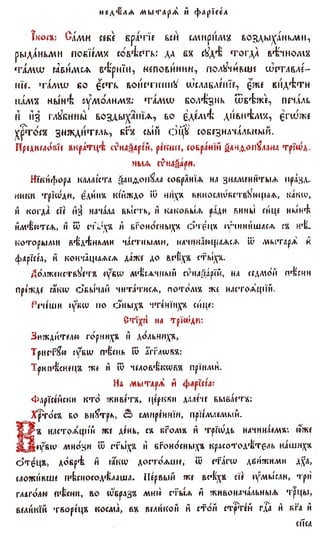 постен триод-1