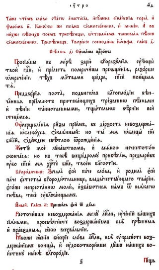 постен триод-1