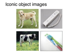 Iconic object images
 
