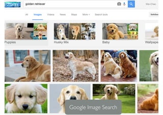 Google Image Search
 