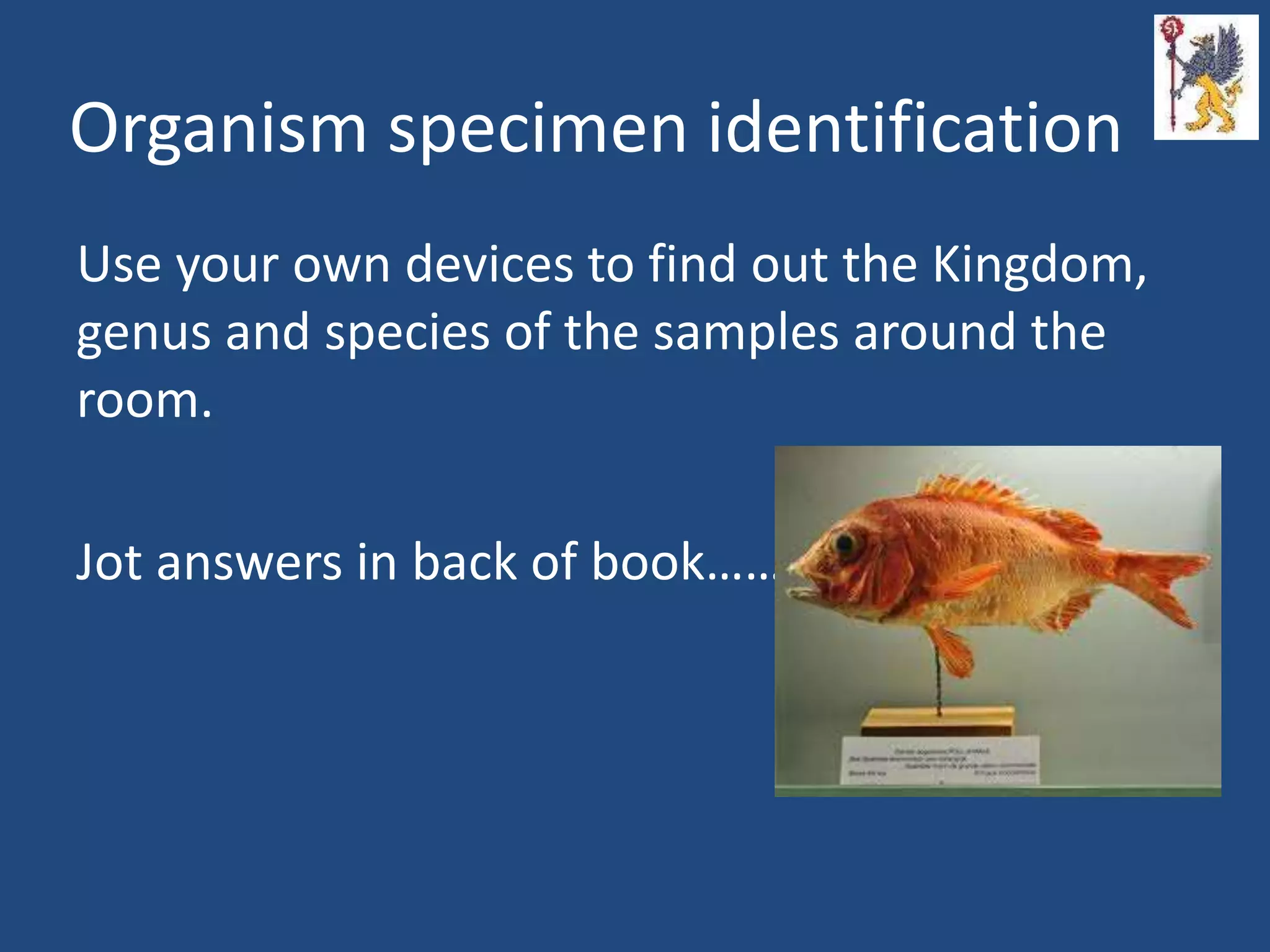 Organism specimen identification
Use your own devices to find out the Kingdom,
genus and species of the samples around the
room.
Jot answers in back of book…….
 