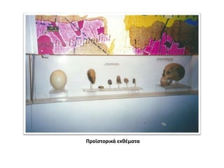 Προϊστορικά εκθέματα
 