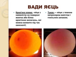 кулін хар ка страв з яєць (1) | PPT