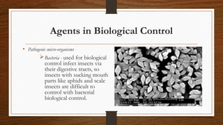 Biological Control | PPT