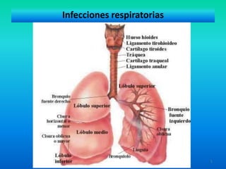 Infecciones respiratorias
1
 