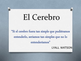 El Cerebro
“Si el cerebro fuera tan simple que pudiéramos
entenderlo, seriamos tan simples que no lo
entenderíamos”
LYALL WATSON
 