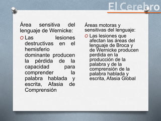 Área sensitiva del
lenguaje de Wernicke:
O Las lesiones
destructivas en el
hemisferio
dominante producen
la pérdida de la
capacidad para
comprender la
palabra hablada y
escrita, Afasia de
Comprensión
Áreas motoras y
sensitivas del lenguaje:
O Las lesiones que
afectan las áreas del
lenguaje de Broca y
de Wernicke producen
perdida en la
producción de la
palabra y de la
comprensión de la
palabra hablada y
escrita, Afasia Global
 