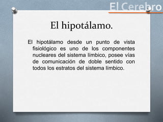 El hipotálamo.
El hipotálamo desde un punto de vista
fisiológico es uno de los componentes
nucleares del sistema límbico, posee vías
de comunicación de doble sentido con
todos los estratos del sistema límbico.
 