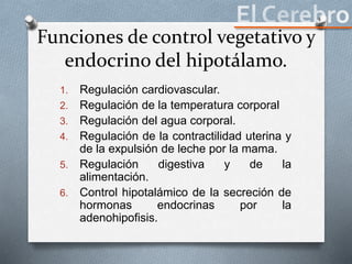 Funciones de control vegetativo y
endocrino del hipotálamo.
1. Regulación cardiovascular.
2. Regulación de la temperatura corporal
3. Regulación del agua corporal.
4. Regulación de la contractilidad uterina y
de la expulsión de leche por la mama.
5. Regulación digestiva y de la
alimentación.
6. Control hipotalámico de la secreción de
hormonas endocrinas por la
adenohipofisis.
 