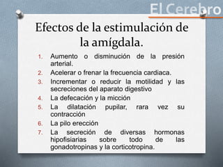 Efectos de la estimulación de
la amígdala.
1. Aumento o disminución de la presión
arterial.
2. Acelerar o frenar la frecuencia cardiaca.
3. Incrementar o reducir la motilidad y las
secreciones del aparato digestivo
4. La defecación y la micción
5. La dilatación pupilar, rara vez su
contracción
6. La pilo erección
7. La secreción de diversas hormonas
hipofisiarias sobre todo de las
gonadotropinas y la corticotropina.
 