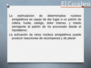 La estimulación de determinados núcleos
amigdalinos es capaz de dar lugar a un patrón de
cólera, huida, castigo, dolor intenso, y miedo
semejante al patrón de ira provocado desde el
hipotálamo.
La activación de otros núcleos amigdalinos puede
producir reacciones de recompensa y de placer
 