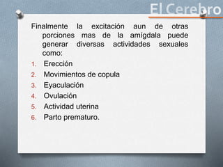 Finalmente la excitación aun de otras
porciones mas de la amígdala puede
generar diversas actividades sexuales
como:
1. Erección
2. Movimientos de copula
3. Eyaculación
4. Ovulación
5. Actividad uterina
6. Parto prematuro.
 