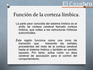 Función de la corteza límbica.
La parte peor conocida del sistema límbico es el
anillo de corteza cerebral llamado corteza
límbica, que rodea a las estructuras límbicas
subcorticales.
Ésta región funciona como una zona de
transición que transmite las señales
procedentes del resto de la corteza cerebral
hasta el sistema límbico y también en sentido
opuesto. Por tanto, actúa como un área
cerebral de asociación para el control del
comportamiento.
 