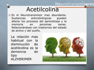 Acetilcolina
O Es el Neurotransmisor mas abundante.
Sustancias anticolinérgicas pueden
alterar los procesos del aprendizaje y la
memoria en personas sanas.
Relacionándose con trastornos del estado
de animo y del sueño.
La relación mas
habitual con la
disminución de
acetilcolina es la
demencia de
tipo
ALZHERIMER
 