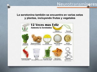 La serotonina también se encuentra en varias setas
y plantas, incluyendo frutas y vegetales
 