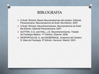 BIBLOGRAFIA
O S.Snell. Richard, Bases Neuroanatomías del cerebro, Editorial
Panamericana, Neuroanatomía de Snell. 6ta Edición, 2007.
O S.Snell. Richard, Neurotransmisores. Neuroanatomía de Snell.
6ta Edición, Editorial Panamericana; 2007.
O GUYTON, C.G. and HALL, J.E. Neurotransmisores, Tratado
de Fisiología Médica. 11ª Edición. Elsevier, 2006.
O DESPOPOULOS, A. and SILBERNAGL, Anatomía del Cerebro
S. Atlas de Fisiología. 5ª Edición. Harcourt, Madrid, 2001.
 