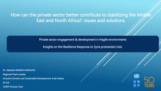 Dr. Nathalie MILBACH-BOUCHE
Regional Team Leader,
Inclusive Growth and Sustainable Development, Arab States,
& Sub
UNDP Amman Hub
How can the private sector better contribute to stabilizing the Middle
East and North Africa?: issues and solutions.
Private sector engagement & development in fragile environments
Insights on the Resilience Response to Syria protracted crisis
 