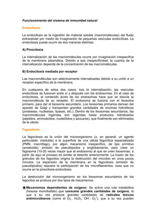 Funcionamiento del sistema de inmunidad natural
Endocitosis
La endocitosis es la ingestión de material soluble (macromoléculas) del fluido
extracelular por medio de invaginación de pequeñas vesículas endocíticas. La
endocitosis puede ocurrir de dos maneras distintas:
A) Pinocitosis
La internalización de las macromoléculas ocurre por invaginación inespecífica
de la membrana plasmática. Debido a esa inespecificidad, la cuantía de la
internalización depende de la concentración de las macromoléculas.
B) Endocitosis mediada por receptor
Las macromoléculas son selectivamente internalizadas debido a su unión a un
receptor específico de la membrana.
En cualquiera de estos dos casos, tras la internalización, las vesículas
endocíticas se fusionan entre sí y después con los endosomas. En el caso de
endocitosis, el contenido ácido de los endosomas hace que se disocie la
macromolécula de su receptor. El endosoma se fusiona con el lisosoma
primario, para dar el lisosoma secundario. Los lisosomas primarios derivan del
aparato de Golgi y transportan grandes cantidades de enzimas hidrolíticos
(proteasas, nucleasas, lipasas, etc.). Dentro de los lisosomas secundarios, las
macromoléculas ingeridas son digeridas hasta productos hidrolizados
(péptidos, aminoácidos, nucleótidos y azúcares), que finalmente son eliminados
de la célula.
Fagocitosis
La fagocitosis es la unión del microorganismo (o, en general, un agente
particulado, insoluble) a la superficie de una célula fagocítica especializada
(PMN, macrófago), por algún mecanismo inespecífico, de tipo primitivo
(ameboide): emisión de pseudópodos y englobamiento, para crear un
fagosoma (10-20 veces mayor que el endosoma) al que se unen lisosomas; a
partir de aquí el proceso es similar al descrito anteriormente. La fusión de los
gránulos de los fagocitos origina la destrucción del microbio en unos pocos
minutos. La expansión de la membrana en la fagocitosis (emisión de
pseudópodos) requiere la participación de los microfilamentos, cosa que no
ocurre en la pinocitosis-endocitosis.
La destrucción del microorganismo en los lisosomas secundarios de los
fagocitos se produce por dos tipos de mecanismos:
Mecanismos dependientes de oxígeno: Se activa una ruta metabólica
(hexosa monofosfato) que consume grandes cantidades de oxígeno, lo
que a su vez produce grandes cantidades de radicales tóxicos
antimicrobianos (como el O2
-
, H2O2, OH-
, O2
1
), que a su vez pueden
 