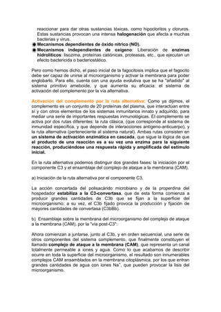 reaccionar para dar otras sustancias tóxicas, como hipocloritos y cloruros.
Estas sustancias provocan una intensa halogenación que afecta a muchas
bacterias y virus.
Mecanismos dependientes de óxido nítrico (NO).
Mecanismos independientes de oxígeno: Liberación de enzimas
hidrolíticos: lisozima, proteínas catiónicas, proteasas, etc., que ejecutan un
efecto bactericida o bacteriostático.
Pero como hemos dicho, el paso inicial de la fagocitosis implica que el fagocito
debe ser capaz de unirse al microorganismo y activar la membrana para poder
englobarlo. Para ello, cuenta con una ayuda evolutiva que se ha "añadido" al
sistema primitivo ameboide, y que aumenta su eficacia: el sistema de
activación del complemento por la vía alternativa.
Activación del complemento por la ruta alternativa: Como ya dijimos, el
complemento es un conjunto de 20 proteínas del plasma, que interactúan entre
sí y con otros elementos de los sistemas inmunitarios innato y adquirido, para
mediar una serie de importantes respuestas inmunológicas. El complemento se
activa por dos rutas diferentes: la ruta clásica, (que corresponde al sistema de
inmunidad específica, y que depende de interacciones antígeno-anticuerpo), y
la ruta alternativa (perteneciente al sistema natural). Ambas rutas consisten en
un sistema de activación enzimática en cascada, que sigue la lógica de que
el producto de una reacción es a su vez una enzima para la siguiente
reacción, produciéndose una respuesta rápida y amplificada del estímulo
inicial.
En la ruta alternativa podemos distinguir dos grandes fases: la iniciación por el
componente C3 y el ensamblaje del complejo de ataque a la membrana (CAM).
a) Iniciación de la ruta alternativa por el componente C3.
La acción concertada del polisacárido microbiano y de la properdina del
hospedador estabiliza a la C3-convertasa, que de esta forma comienza a
producir grandes cantidades de C3b que se fijan a la superficie del
microorganismo; a su vez, el C3b fijado provoca la producción y fijación de
mayores cantidades de convertasa (C3bBb).
b) Ensamblaje sobre la membrana del microorganismo del complejo de ataque
a la membrana (CAM), por la "vía post-C3":
Ahora comienzan a juntarse, junto al C3b, y en orden secuencial, una serie de
otros componentes del sistema complemento, que finalmente constituyen el
llamado complejo de ataque a la membrana (CAM), que representa un canal
totalmente permeable a iones y agua. Como lo que acabamos de describir
ocurre en toda la superficie del microorganismo, el resultado son innumerables
complejos CAM ensamblados en la membrana citoplásmica, por los que entran
grandes cantidades de agua con iones Na+
, que pueden provocar la lisis del
microorganismo.
 