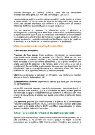 formado descargan su "artillería química", entre ella los mecanismos
dependientes de oxígeno, que han sido activados por C3a y C5a.
La vasodilatación y el incremento en la permeabilidad capilar facilitan la entrada
al tejido dañado de las enzimas del sistema de coagulación sanguínea: se
activa una cascada enzimática que conduce a la acumulación de cadenas
insolubles de fibrina, que constituyen el coágulo sanguíneo.
Una vez ocurrida la respuesta de inflamación aguda, y eliminado el
microorganismo por los fagocitos, tiene lugar la reparación del tejido dañado y
la regeneración con tejido nuevo. La reparación comienza con el crecimiento de
vasos capilares en el entramado de fibrina del coágulo sanguíneo. Conforme el
coágulo se disuelve, va siendo sustituido por fibroblastos nuevos. La cicatriz es
el resultado de la acumulación de nuevos capilares y de fibroblastos.
Otros mecanismos de inmunidad inespecífica:
A) Mecanismos humorales:
Proteínas de fase aguda. Estas proteínas incrementan su concentración
espectacularmente cuando se produce una infección. Una de las m<s
importantes es la proteína C-reactiva (CRP), que se produce en el hígado ante
daño en tejidos. Se une al llamado polisacárido C de la pared celular de una
amplia variedad de bacterias y de hongos. Esta unión activa a su vez al
complemento, lo que facilita su eliminación, bien sea por lisis dependiente del
complemento (por el complejo de ataque a la membrana, CAM), bien sea por
potenciación de la fagocitosis mediada por el complemento.
Interferones (consultar lo estudiado en Virología). Los interferones modulan,
además la función de las células NK.
B) Mecanismos celulares: dependen de células que destruyen "desde fuera"
(no por fagocitosis):
células NK (asesinas naturales): son linfocitos grandes, distintos de los B y T
que veremos más adelante, y que a diferencia de estos poseen gránulos
citoplásmicos. Su papel es reconocer células tumorales o infectadas con virus,
se unen a ellas y liberan al espacio que queda entre ambas el contenido de sus
gránulos.
Una perforina, proteína que se ensambla en la superficie de la célula enferma
y origina un canal parecido al de CAM, provocando la lisis. factores citotóxicos,
que matan a la célula enferma PMN eosinófilos: especializados en atacar
grandes parásitos, incluyendo helmintos.
1.2.3.2 El sistema de inmunidad adaptativa o específica
Algunos microorganismos no desencadenan activación del complemento por la
ruta alternativa, y no pueden ser lisados porque no llegan a quedar
opsonizados por la proteína C3b. Incluso existen microbios que escapan al
 