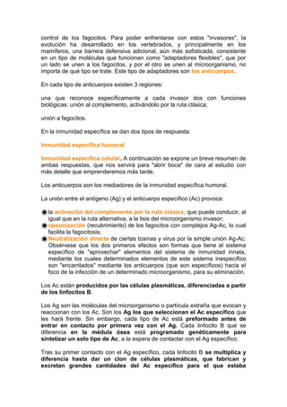 control de los fagocitos. Para poder enfrentarse con estos "invasores", la
evolución ha desarrollado en los vertebrados, y principalmente en los
mamíferos, una barrera defensiva adicional, aún más sofisticada, consistente
en un tipo de moléculas que funcionan como "adaptadores flexibles", que por
un lado se unen a los fagocitos, y por el otro se unen al microorganismo, no
importa de qué tipo se trate. Este tipo de adaptadores son los anticuerpos.
En cada tipo de anticuerpos existen 3 regiones:
una que reconoce específicamente a cada invasor dos con funciones
biológicas: unión al complemento, activándolo por la ruta clásica;
unión a fagocitos.
En la inmunidad específica se dan dos tipos de respuesta:
Inmunidad específica humoral
Inmunidad específica celular. A continuación se expone un breve resumen de
ambas respuestas, que nos servirá para "abrir boca" de cara al estudio con
más detalle que emprenderemos más tarde.
Los anticuerpos son los mediadores de la inmunidad específica humoral.
La unión entre el antígeno (Ag) y el anticuerpo específico (Ac) provoca:
la activación del complemento por la ruta clásica, que puede conducir, al
igual que en la ruta alternativa, a la lisis del microorganismo invasor;
opsonización (recubrimiento) de los fagocitos con complejos Ag-Ac, lo cual
facilita la fagocitosis;
Neutralización directa de ciertas toxinas y virus por la simple unión Ag-Ac.
Obsérvese que los dos primeros efectos son formas que tiene el sistema
específico de "aprovechar" elementos del sistema de inmunidad innata,
mediante los cuales determinados elementos de este sistema inespecífico
son "encarrilados" mediante los anticuerpos (que son específicos) hacia el
foco de la infección de un determinado microorganismo, para su eliminación.
Los Ac están producidos por las células plasmáticas, diferenciadas a partir
de los linfocitos B.
Los Ag son las moléculas del microorganismo o partícula extraña que evocan y
reaccionan con los Ac. Son los Ag los que seleccionan el Ac específico que
les hará frente. Sin embargo, cada tipo de Ac está preformado antes de
entrar en contacto por primera vez con el Ag. Cada linfocito B que se
diferencia en la médula ósea está programado genéticamente para
sintetizar un solo tipo de Ac, a la espera de contactar con el Ag específico.
Tras su primer contacto con el Ag específico, cada linfocito B se multiplica y
diferencia hasta dar un clon de células plasmáticas, que fabrican y
excretan grandes cantidades del Ac específico para el que estaba
 