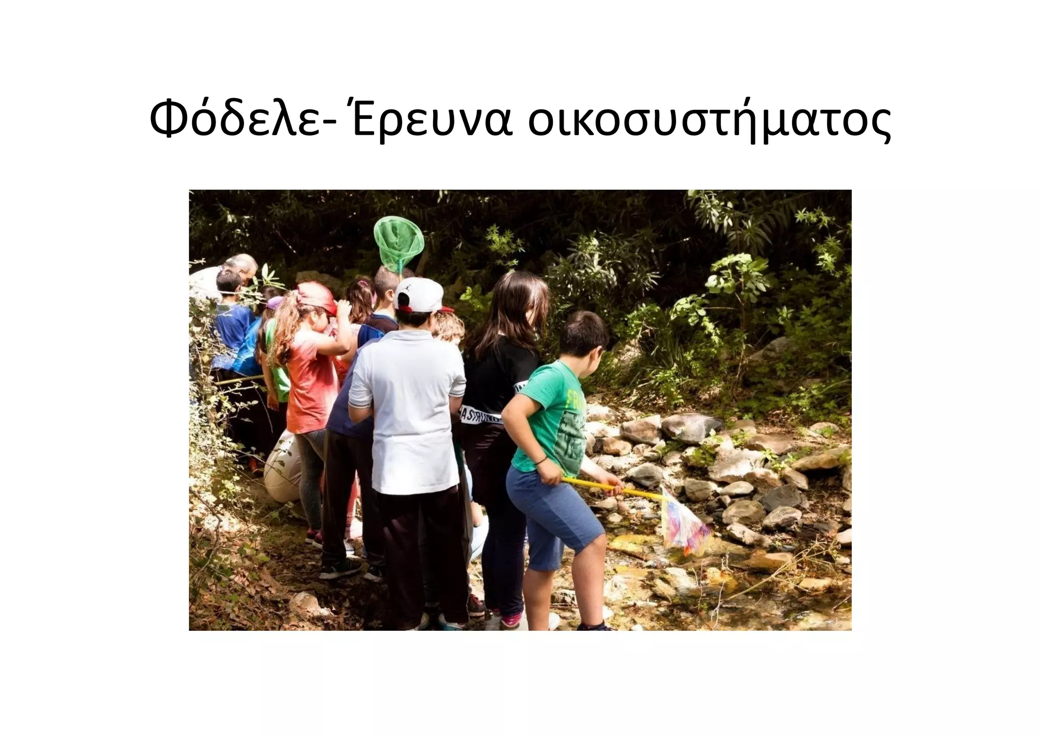 Φόδελε- Έρευνα οικοσυστήματος
 