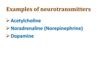 Examples of neurotransmitters
Acetylcholine
Noradrenaline (Norepinephrine)
Dopamine
 