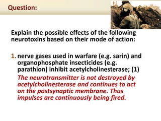Explain the possible effects of the following
neurotoxins based on their mode of action:
1.nerve gases used in warfare (e.g. sarin) and
organophosphate insecticides (e.g.
parathion) inhibit acetylcholinesterase; (1)
The neurotransmitter is not destroyed by
acetylcholinesterase and continues to act
on the postsynaptic membrane. Thus
impulses are continuously being fired.
Question:
 