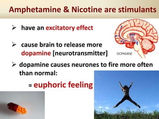 Amphetamine & Nicotine are stimulants
 have an excitatory effect
 cause brain to release more
dopamine [neurotransmitter]
 dopamine causes neurones to fire more often
than normal:
= euphoric feeling
 