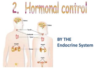 BY THE
Endocrine System
 