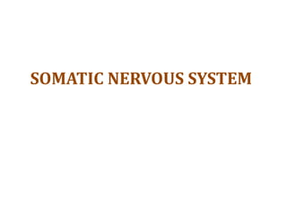 SOMATIC NERVOUS SYSTEM
 