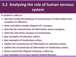 3.2 Analysing the role of human nervous
system
A student is able to:
 describe briefly the pathway of transmission of information from
receptors to effectors,
 draw and label a simple diagram of a synapse,
 describe the transmission of information across synapses,
 state the role of the synapse in transmission,
 give examples of voluntary action,
 give examples of involuntary action,
 outline the transmission of information in voluntary action,
 outline the transmission of information in involuntary action,
 draw a schematic diagram showing a reflex arc,
 give examples of nervous system related diseases.
 