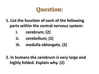 Question:
1. List the function of each of the following
parts within the central nervous system:
i. cerebrum; (2)
ii. cerebellum; (2)
iii. medulla oblongata. (2)
2. In humans the cerebrum is very large and
highly folded. Explain why. (2)
 