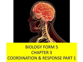 PART 1
BIOLOGY FORM 5
CHAPTER 3
COORDINATION & RESPONSE PART 1
 