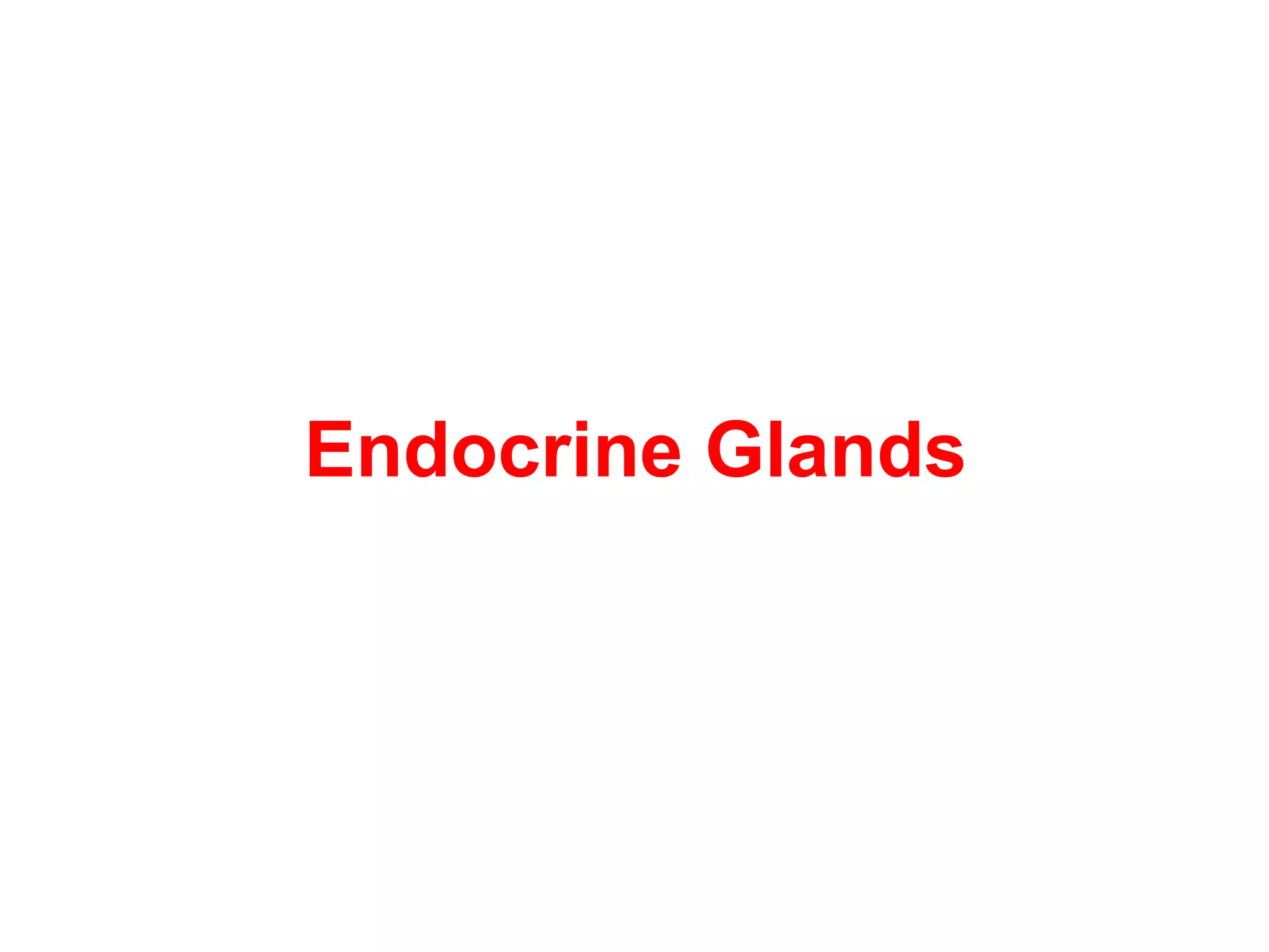Endocrine Glands
 