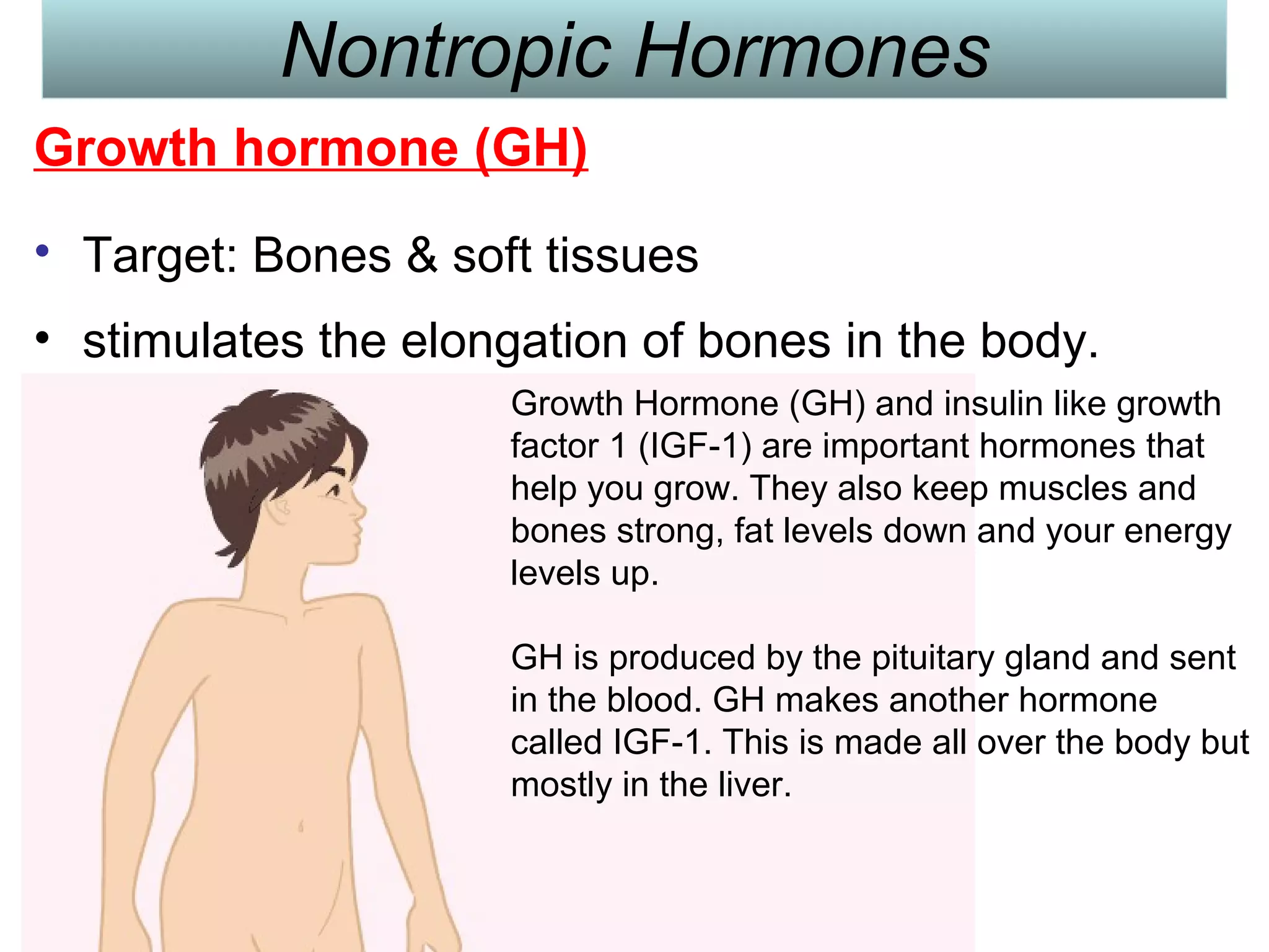 Nontropic Hormones
Growth hormone (GH)
• Target: Bones & soft tissues
• stimulates the elongation of bones in the body.
Growth Hormone (GH) and insulin like growth
factor 1 (IGF-1) are important hormones that
help you grow. They also keep muscles and
bones strong, fat levels down and your energy
levels up.
GH is produced by the pituitary gland and sent
in the blood. GH makes another hormone
called IGF-1. This is made all over the body but
mostly in the liver.
 