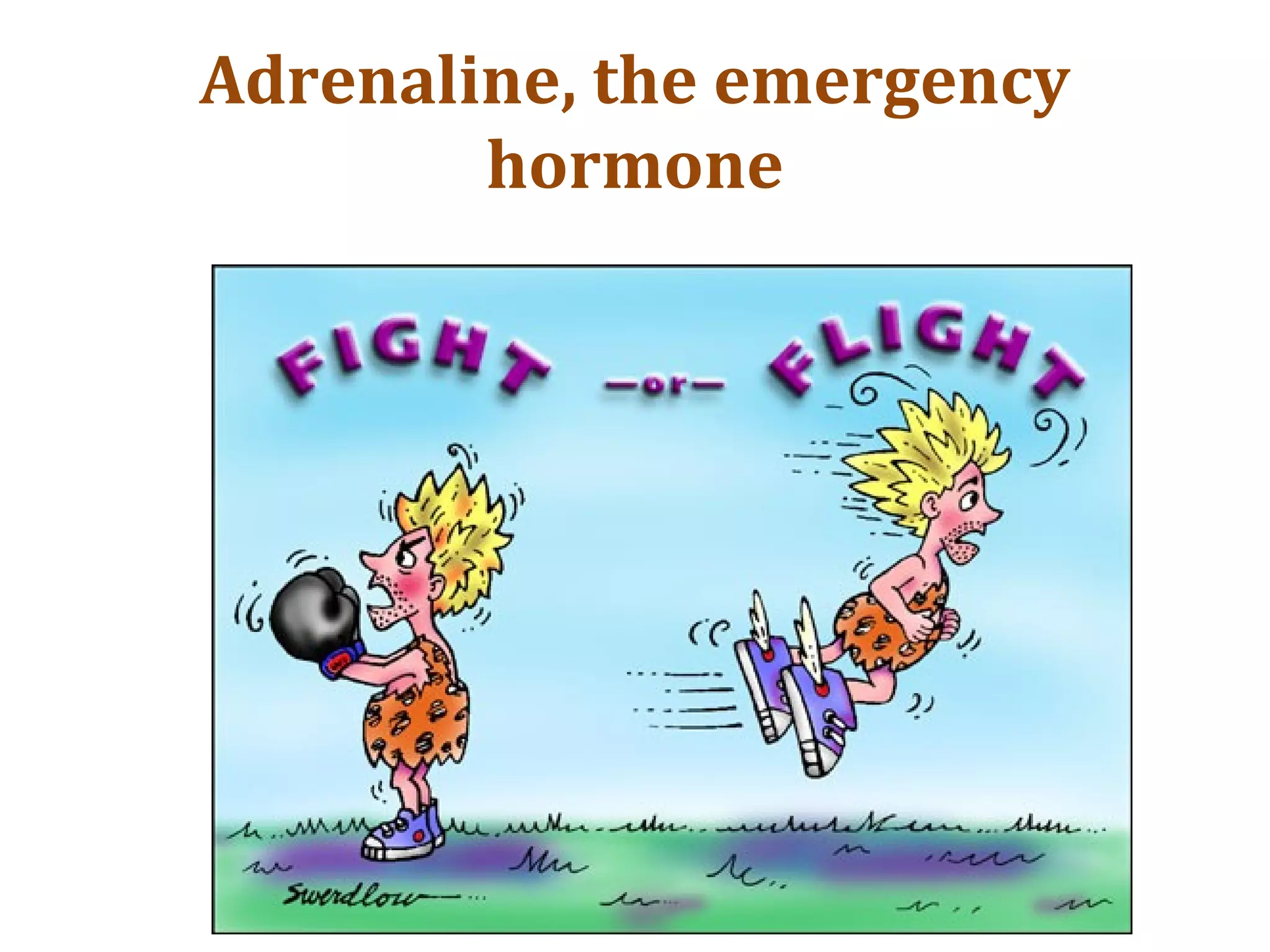 Adrenaline, the emergency
hormone
 