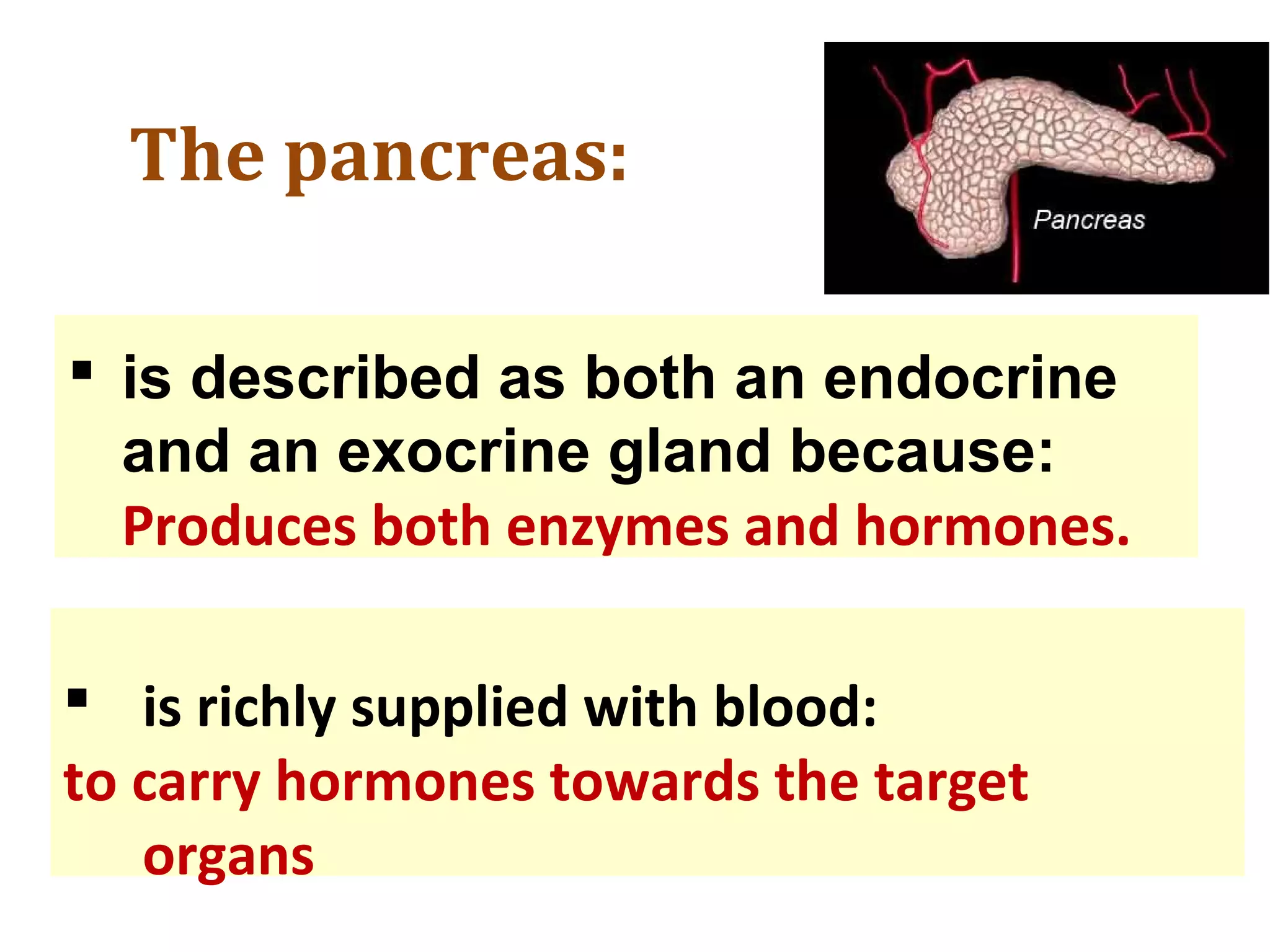 The pancreas:
 is described as both an endocrine
and an exocrine gland because:
Produces both enzymes and hormones.
 is richly supplied with blood:
to carry hormones towards the target
organs
 
