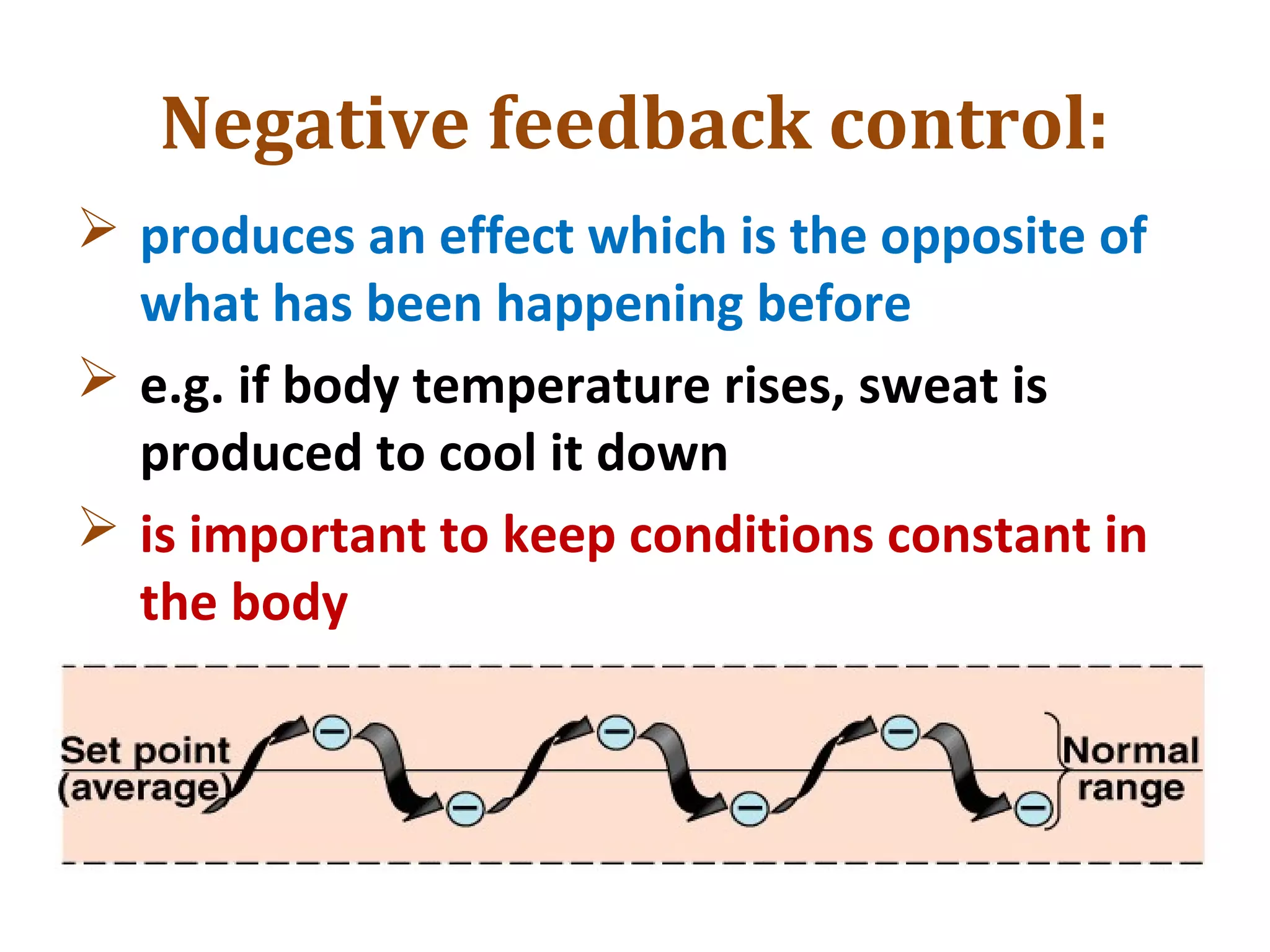 Negative feedback control:
 produces an effect which is the opposite of
what has been happening before
 e.g. if body temperature rises, sweat is
produced to cool it down
 is important to keep conditions constant in
the body
 