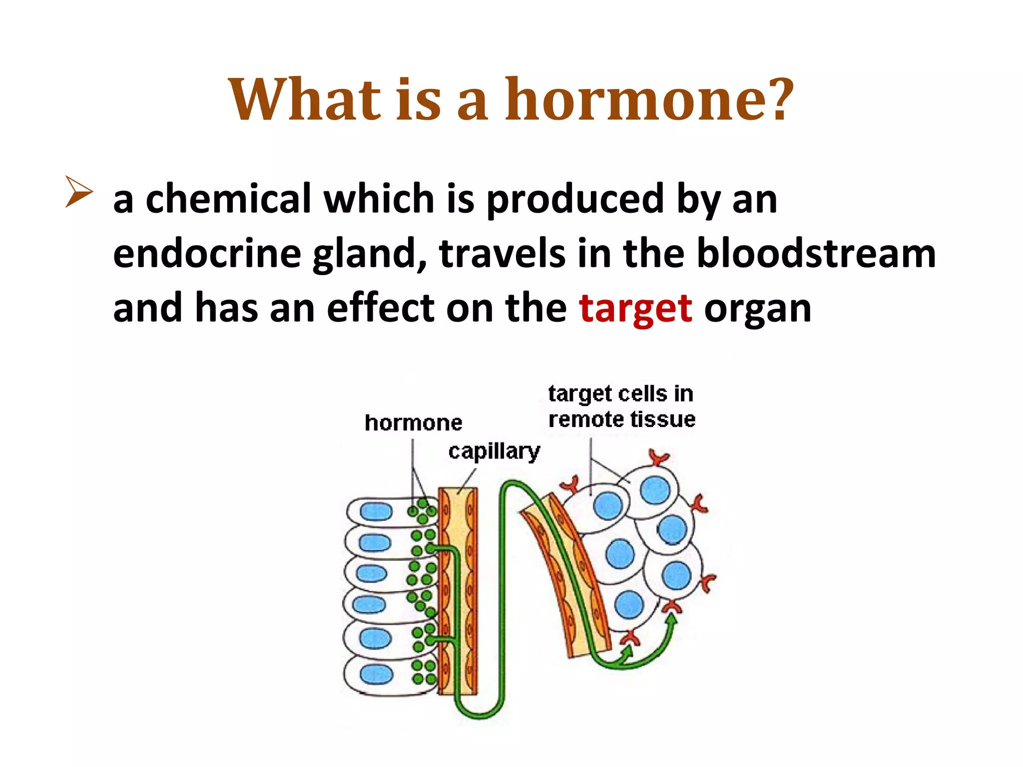 What is a hormone?
 a chemical which is produced by an
endocrine gland, travels in the bloodstream
and has an effect on the target organ
 