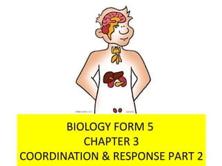 BIOLOGY FORM 5
CHAPTER 3
COORDINATION & RESPONSE PART 2
 