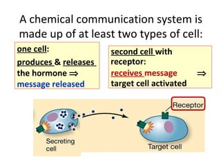 A chemical communication system is
made up of at least two types of cell:
one cell:
produces & releases
the hormone ⇒
message released
second cell with
receptor:
receives message ⇒
target cell activated
 