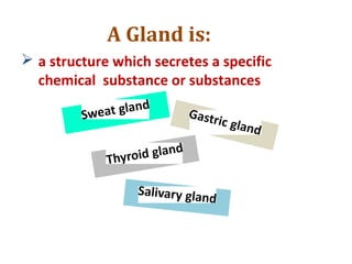 A Gland is:
 a structure which secretes a specific
chemical substance or substances
 