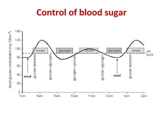 Control of blood sugar
 