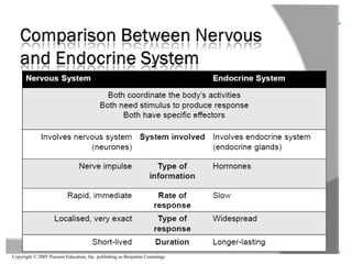 Copyright © 2005 Pearson Education, Inc. publishing as Benjamin Cummings
• Testosterone causes an increase in muscle and
bone mass
– And is often taken as a supplement to cause
muscle growth, which carries many health risks
Figure 45.14
 