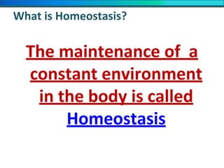 What is Homeostasis?
The maintenance of a
constant environment
in the body is called
Homeostasis
 