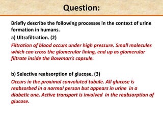 Question:
Briefly describe the following processes in the context of urine
formation in humans.
a) Ultrafiltration. (2)
Filtration of blood occurs under high pressure. Small molecules
which can cross the glomerular lining, end up as glomerular
filtrate inside the Bowman’s capsule.
b) Selective reabsorption of glucose. (3)
Occurs in the proximal convoluted tubule. All glucose is
reabsorbed in a normal person but appears in urine in a
diabetic one. Active transport is involved in the reabsorption of
glucose.
 