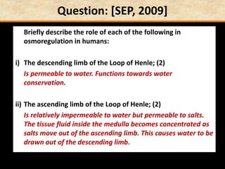 Question: [SEP, 2009]
Briefly describe the role of each of the following in
osmoregulation in humans:
i) The descending limb of the Loop of Henle; (2)
Is permeable to water. Functions towards water
conservation.
ii) The ascending limb of the Loop of Henle; (2)
Is relatively impermeable to water but permeable to salts.
The tissue fluid inside the medulla becomes concentrated as
salts move out of the ascending limb. This causes water to be
drawn out of the descending limb.
 