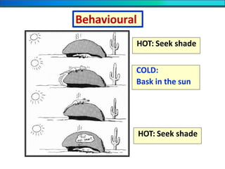 HOT: Seek shade
HOT: Seek shade
COLD:
Bask in the sun
Behavioural
 