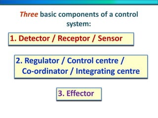 Three basic components of a control
system:
1. Detector / Receptor / Sensor
2. Regulator / Control centre /
Co-ordinator / Integrating centre
3. Effector
 